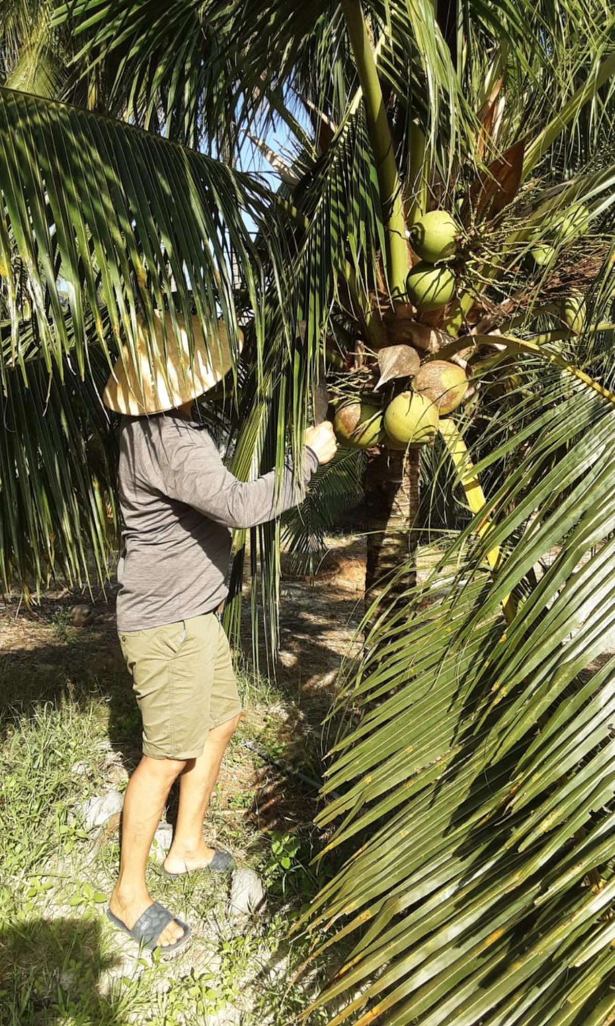 Bonnie Homestay Mui Ne Phan Thiet Bagian luar foto